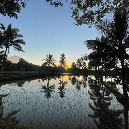 Tereng Wilis Bungalows Tetebatu Kültér fotó