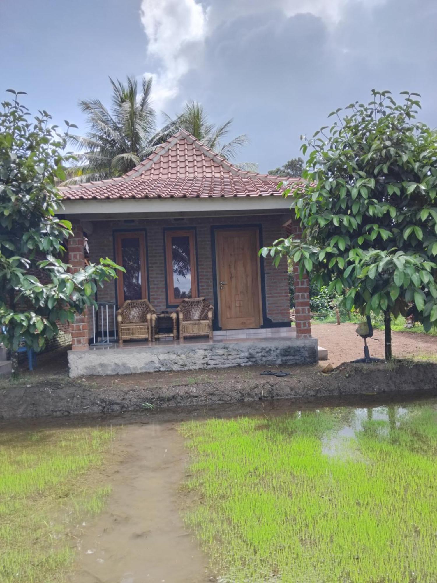 Tereng Wilis Bungalows Tetebatu Kültér fotó