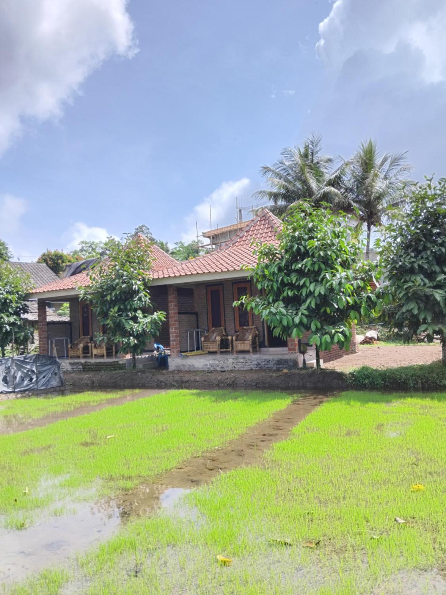 Tereng Wilis Bungalows Tetebatu Kültér fotó