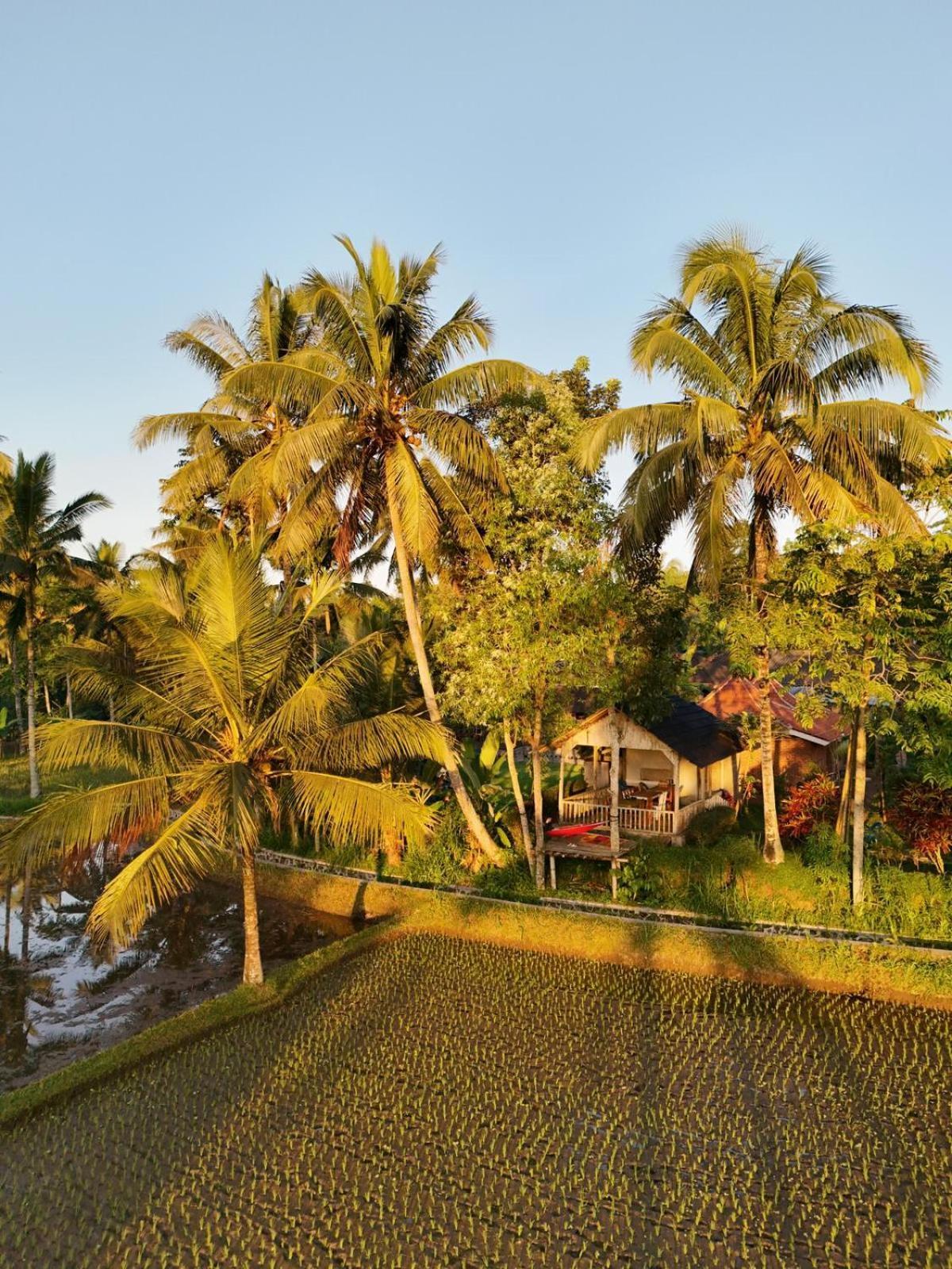 Tereng Wilis Bungalows Tetebatu Kültér fotó