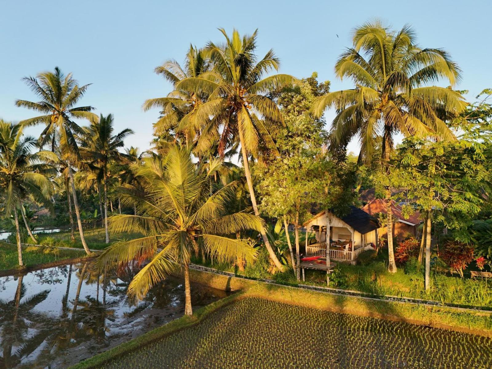 Tereng Wilis Bungalows Tetebatu Kültér fotó
