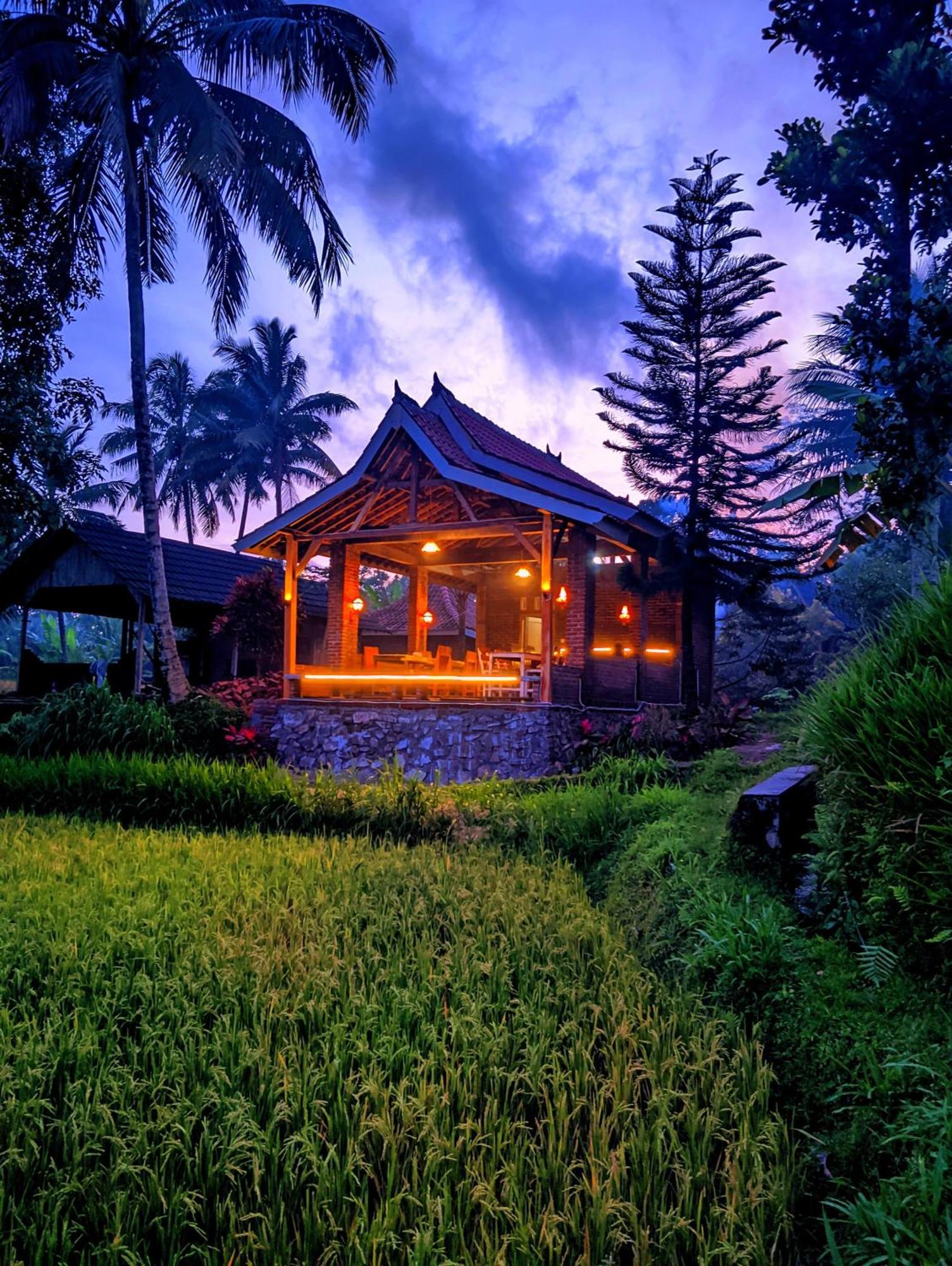Tereng Wilis Bungalows Tetebatu Kültér fotó