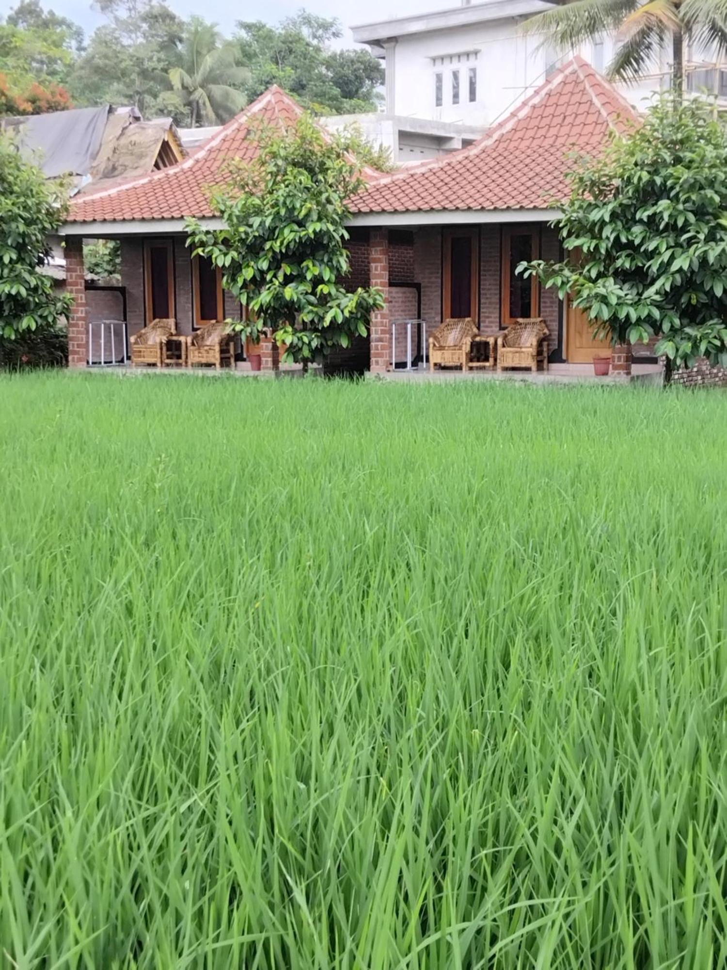 Tereng Wilis Bungalows Tetebatu Kültér fotó