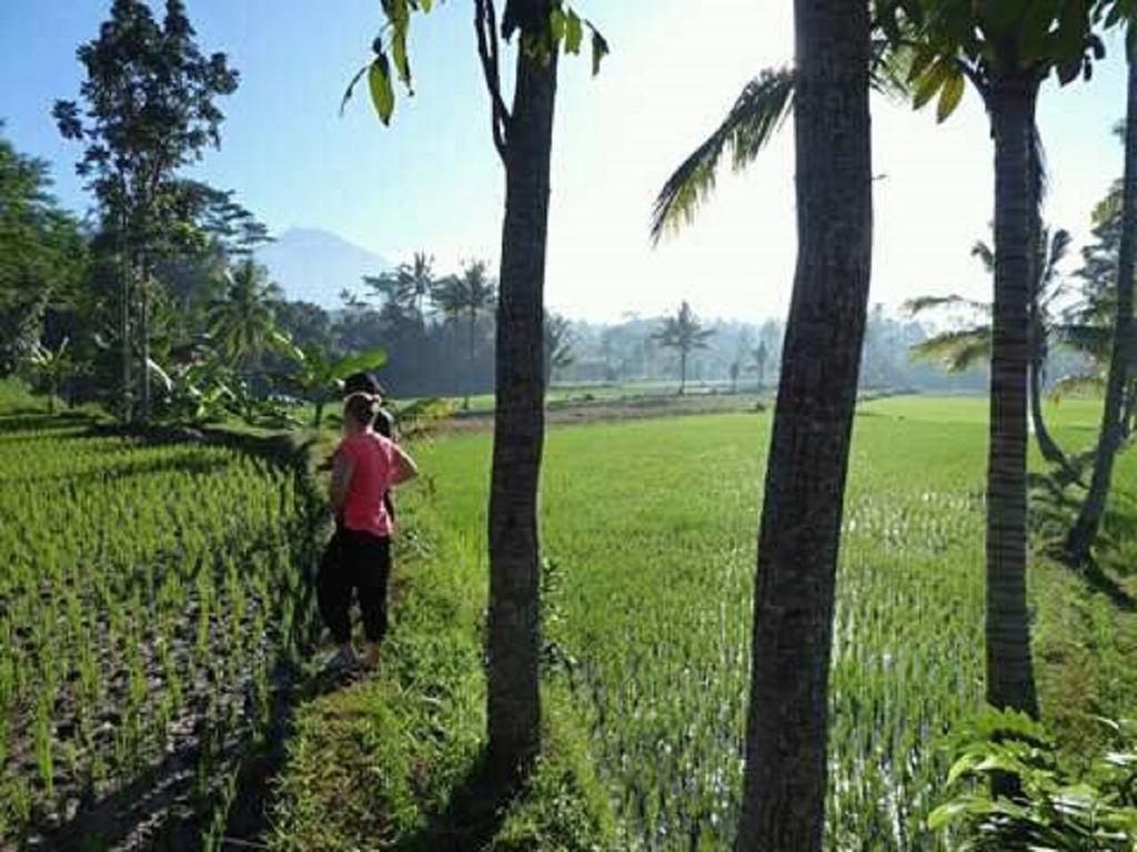 Tereng Wilis Bungalows Tetebatu Kültér fotó
