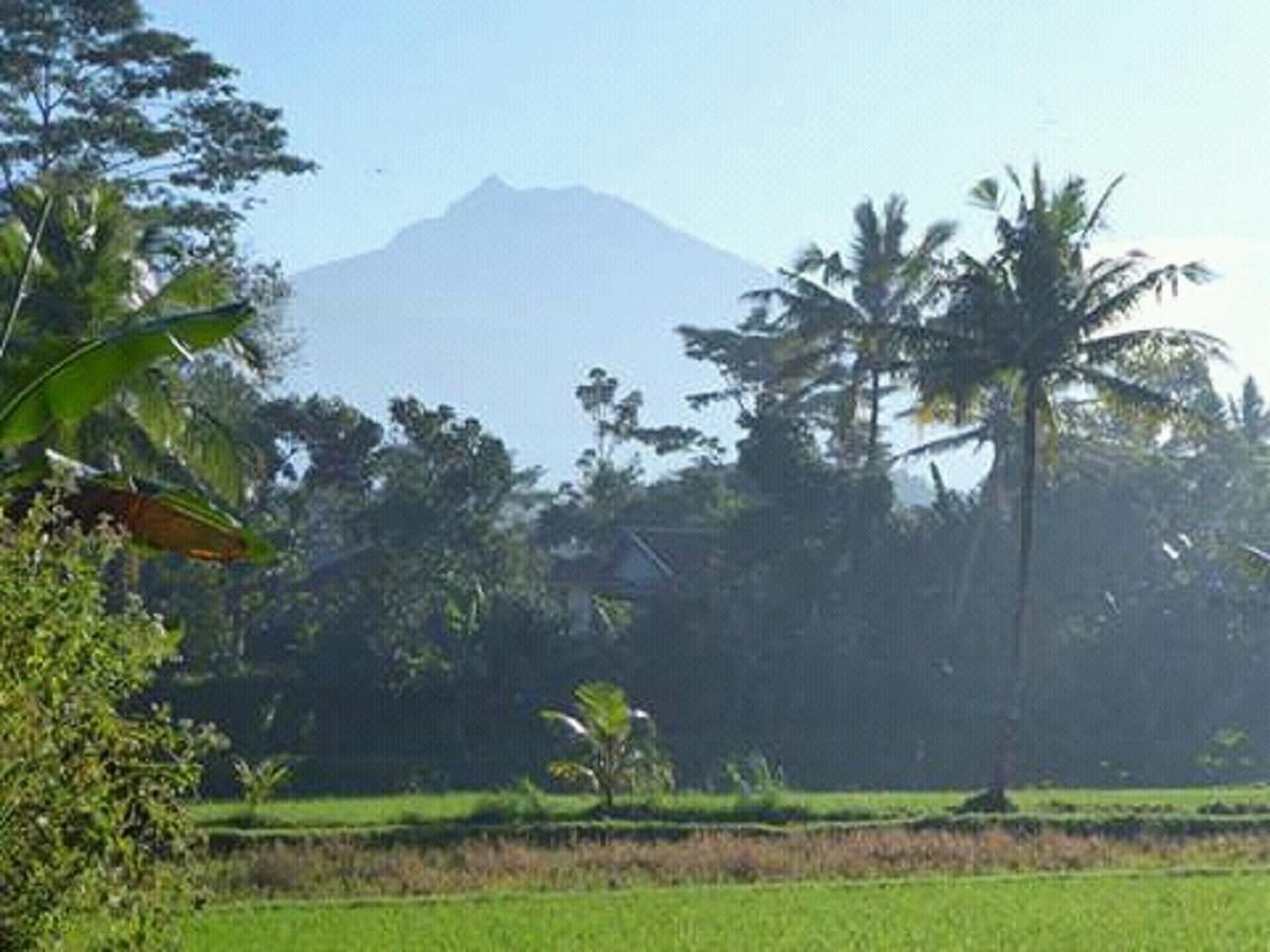 Tereng Wilis Bungalows Tetebatu Kültér fotó