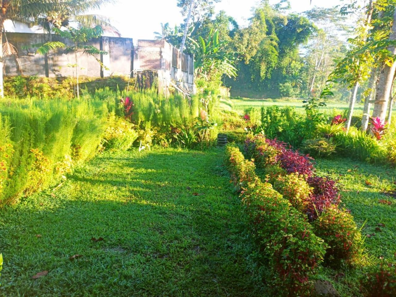 Tereng Wilis Bungalows Tetebatu Kültér fotó