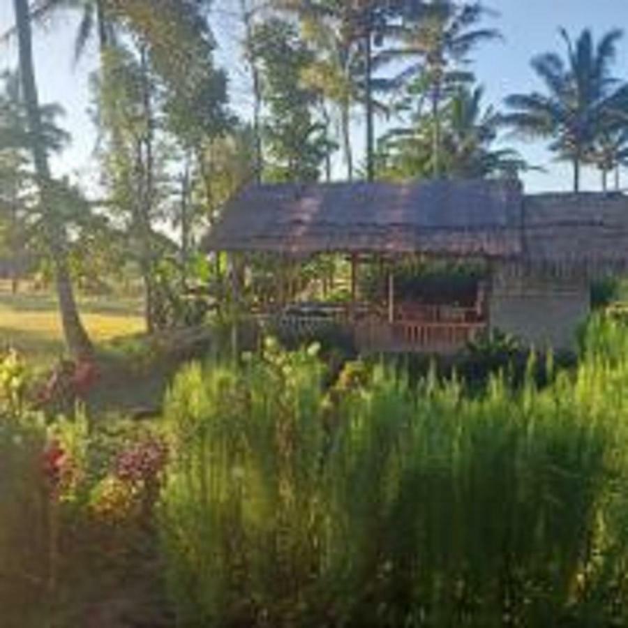 Tereng Wilis Bungalows Tetebatu Kültér fotó