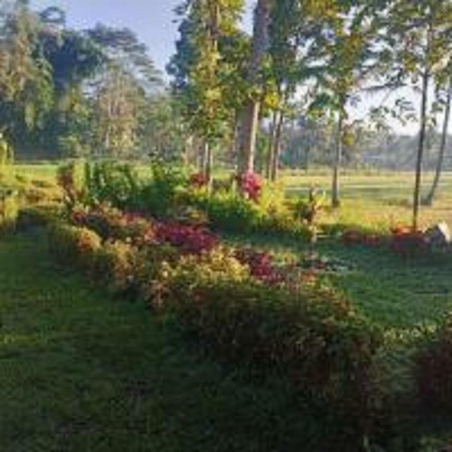 Tereng Wilis Bungalows Tetebatu Kültér fotó